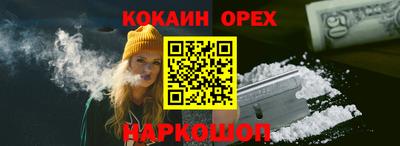 крисы Будённовск