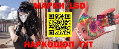 крисы Будённовск