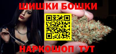 крисы Будённовск